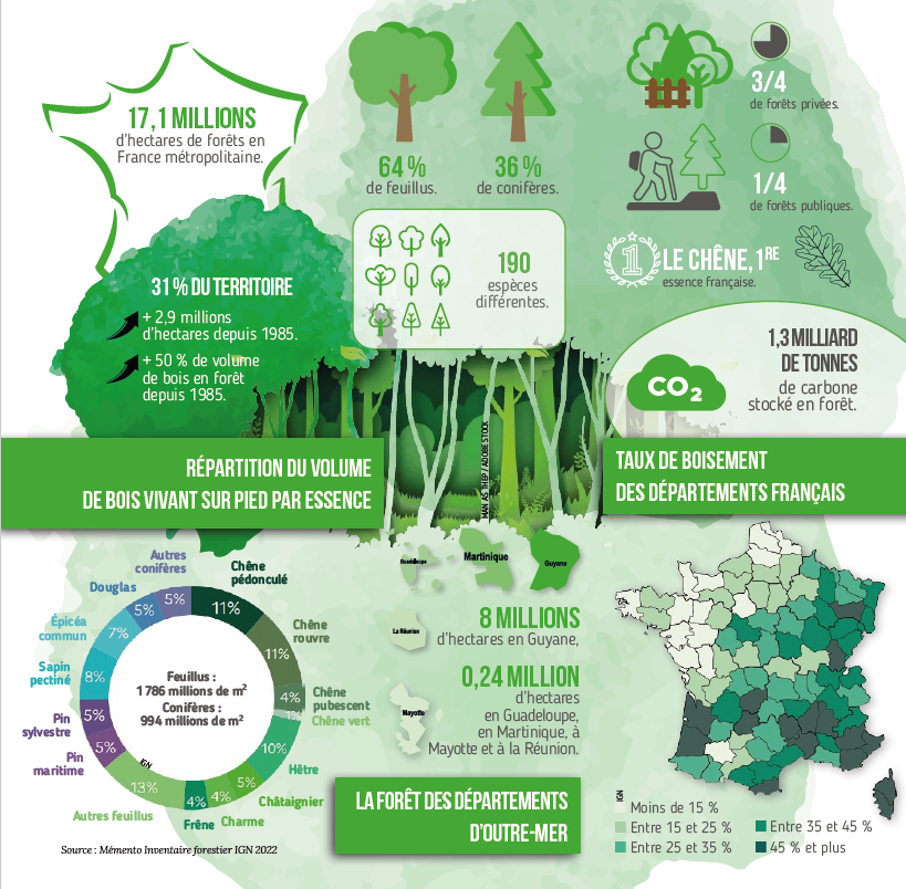 La forêt française en chiffres APECITA